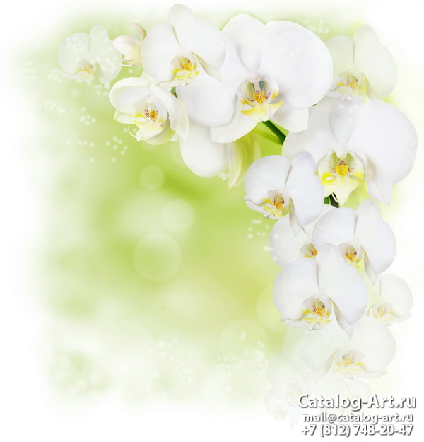 картинки для фотопечати на потолках, идеи, фото, образцы - Потолки с фотопечатью - Белые орхидеи 42